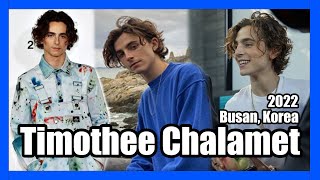 Timothee Chalamet  Busan Korea  BIFF 2019 [upl. by Arlena]