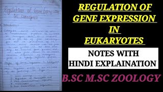 REGULATION OF GENE EXPRESSION IN EUKARYOTES HINDI EXPLAIN regulationingeneexpressionineukayote [upl. by Aleekat391]