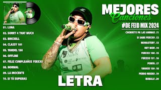 Feid 2024 LetraLyrics  Mejores Canciones de Feid  Grandes Éxitos De Feid  Mix Reggaeton 2024 [upl. by Pacorro]