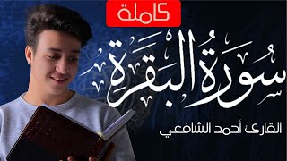 Surah Al Baqarah  Ahmed Alshafey  سورة البقرة كاملة القارئ أحمد الشافعي [upl. by Fidole841]