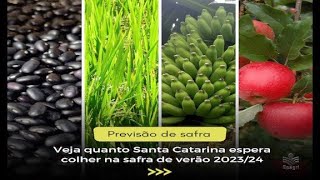 Estimativas para safra de verão 20232024 [upl. by Nosro]