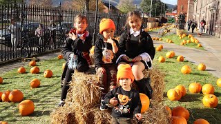 Crumlin Road Gaol  Halloween Pumpkin Patch [upl. by Dippold]