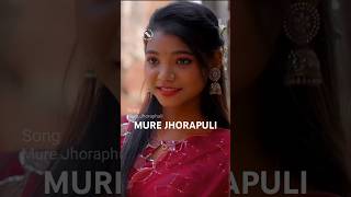 Mure jhoraphuli New santali Video [upl. by Yahsel]