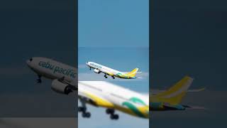 Cebu pacific edit Cebupacificair aviation aviationedit cebupacificair [upl. by Kary]