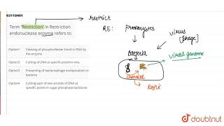 Term \Restriction\ in Restriction endonuclease enzyme refers to [upl. by Nnahoj]