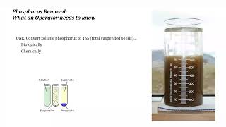 Phosphorus Removal Concepts [upl. by Mcquoid]