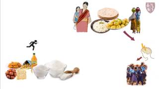 Energy Foods Carbohydrates Hindi [upl. by Orteip733]