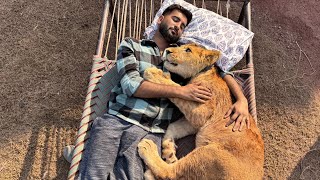 Lion Or Turab Best Friends Bn Gaiy Dono Gly Lg K So Gaiy😍 [upl. by Doty]