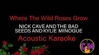 Where The Wild Roses Grow  Nick Cave And The Bad Seeds  Acoustic Karaoke [upl. by Ahsekyt315]