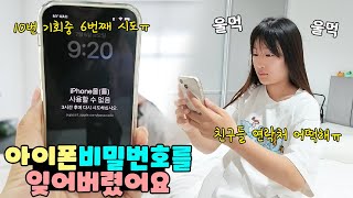 아이폰 비밀번호 분실 10번의 기회안에 못 맞히면 핸드폰을 영영 못쓴대요ㅠ 친구들 연락처 다 사라질 위기ㅠ 가족 일상 브이로그 vlogㅣ토깽이네 [upl. by Arlyne]