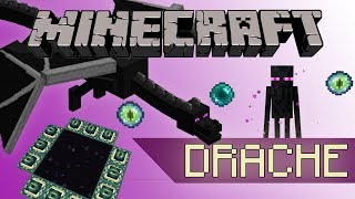 Minecraft Das ENDE und der KAMPF gegen den ENDERDRACHEN [upl. by Demetra648]