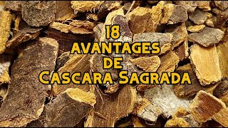 18 avantages de Cascara Sagrada [upl. by Wein]