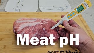 YINMIK pH meter unboxing calibration and test Four categories of meat quality [upl. by Leiser819]