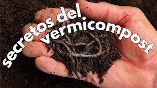 Los SECRETOS de nuestro vermicompostador 🪱 [upl. by Hercules]