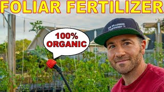 These Organic Foliar Sprays Will Take Your Garden To The NEXT LEVEL [upl. by Mairem]