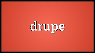 Drupe Meaning [upl. by Darline564]