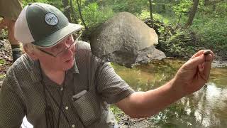 Fossil Collecting with Carl Brett Brachiopods [upl. by Wycoff]