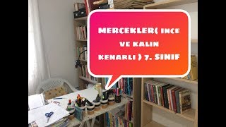 MERCEKLER  KALIN VE İNCE KENARLI  7 SINIF [upl. by Toll]