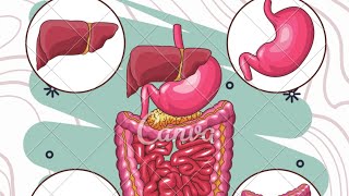 Introduction to hepatology [upl. by Pudens927]