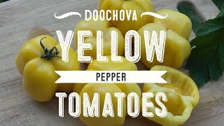 Doochova Yellow Pepper Tomatoes [upl. by Colver199]