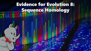 Evidence for Evolution  Sequence Homology [upl. by Court624]