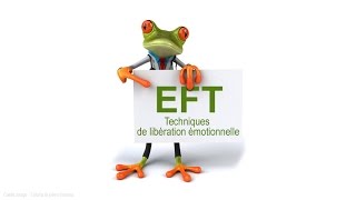 Devenir praticien EFT  Formation avec Agoracadémie [upl. by Seaver]