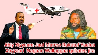 Mootummaan Xiyyaara Jaal Marron kessa Jiru Rukutuf Yaalus Xayyari Nagan qubate MilkeysaMedia [upl. by Nallak20]