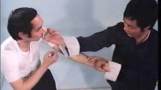 Wing Chun Basic Techniques part 1 [upl. by Reagan]