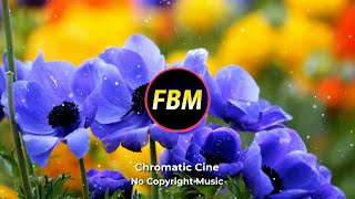 Chromatic Cine  Epic  Acoustic  FBM  Royalty Free No Copyright Music [upl. by Florella]