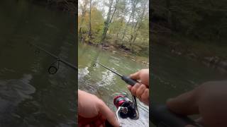 Hucho Fishing fishing spinningrod chubfishing carpfishing spin carp spining fish taimen [upl. by Sikata577]