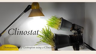 Clinostat [upl. by Nagaek]