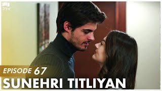 Sunehri Titliyan  Episode 67  Turkish Drama  Sunshine Girls  Urdu Dubbing  FE1Y [upl. by Anoel332]