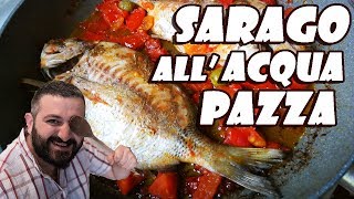 102  Sarago allacqua pazza [upl. by Uhile]