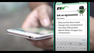 Ask An Agronomist What Are The Main Ways We Lose Nitrogen [upl. by Leshia]