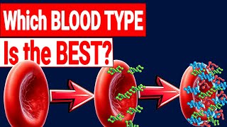 Blood Types explained in 5 minute [upl. by Dis701]