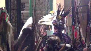 Chepstow Wassail and Mari Lwyd 2012 [upl. by Dimitris944]