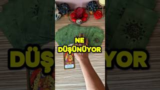 Ne Düşünüyor  🍀 Tarot falı shorts tarotfalı ilişkiaçılımı [upl. by Adest957]