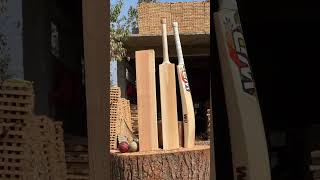 Cricket bat new collection english willow cricket cricketdrive indiancricketer [upl. by Routh]