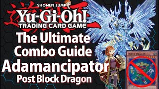 No Block Dragon No Problem High Impact Adamancipator  Deck Tutorial and Combo Guide [upl. by Anileme]