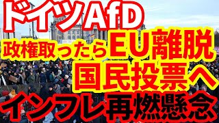 【ドイツ経済】賃金交渉、移民問題でインフレ再燃リスクは年後半か！ドイツ経済について [upl. by Aenotna]