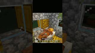 minecraft villager piston and rod villager short viral [upl. by Earased594]