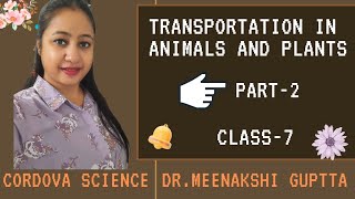 Transportation in Animals and Plants  Part2  Chapter11  Class7  Cordova  Science [upl. by Rosenzweig]