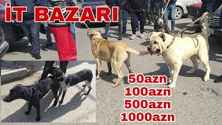 Sabunçu it bazarı1000 azn 11042021 [upl. by Enylorac273]