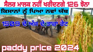 paddy price 2024ਸ਼ੈਲਰ ਮਾਲਕ ਨਹੀਂ ਖਰੀਦਣਗੇ 126 ਝੋਨਾ1509 price today [upl. by Jonette]