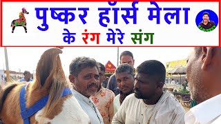 घोड़ा व्यापार के कोने कोने की खबर  पुष्कर मेला बाज़ार 2023 Pushkar Horse Fair Live Horse Market Video [upl. by Thomasa]