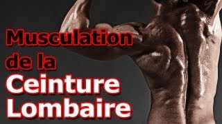 Exercice de Musculation de la Ceinture Lombaire [upl. by Ahsiki]