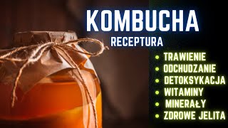 Jak zrobić kombuchę Kombucha przepis  receptura [upl. by Annal]