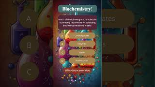 Which of the following macromolecules is primarily responsible for catalyzing biochemical reactions [upl. by Aekahs]