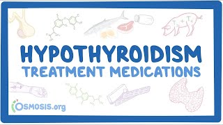 Hypothyroidism treatment medications pharmacology [upl. by Prissy]