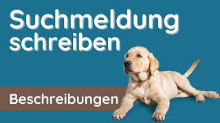 Hund vermisst ✅ Anleitung für Klasse 45 mit Beispiel Labrador [upl. by Geibel396]